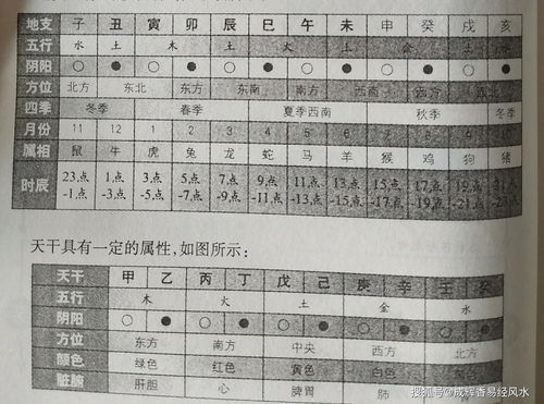 天干地支年月日对照表（年月日天干地支五行对照表）