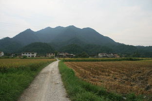 阴宅风水学入门知识（阴宅风水怎么学）