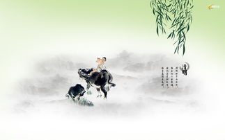 清明节介绍（清明节介绍视频）