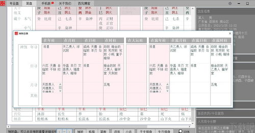 八字排盘免费下载（华易八字排盘免费下载）