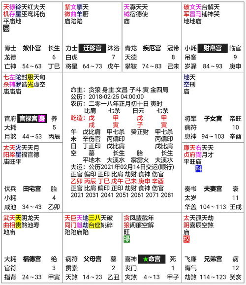 庄氏紫微斗数排盘（紫微斗数排排盘）