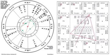 元亨利贞网紫微斗数排盘（元亨利贞网紫微斗数排盘系统）