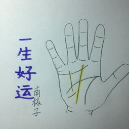 看相算命大全（看相算命大全书）