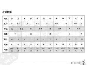 姓名五行属性查询（姓名五行属性查询大全）