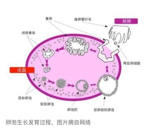 测试我今年的运气（测试我今年的运气怎么样）