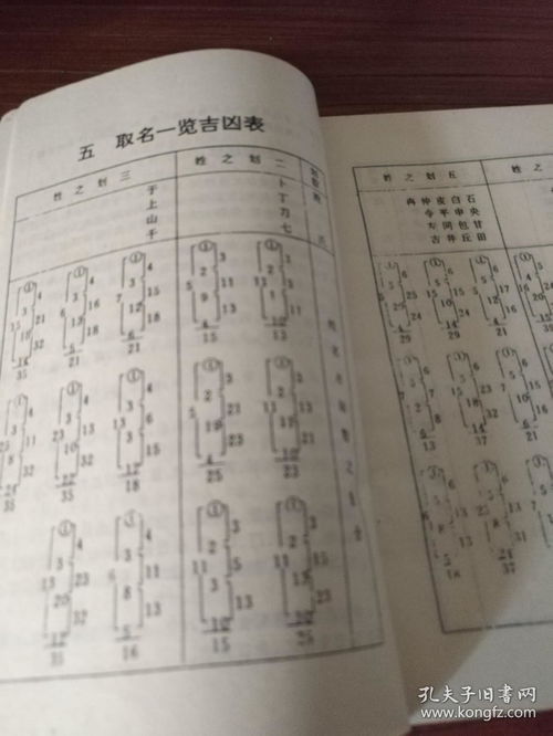 免费起名网生辰八字100分（周易取名网生辰八字免费100）