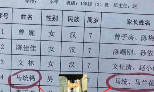 男孩子名字有寓意的字（男孩子名字有寓意的字牛年宝宝）