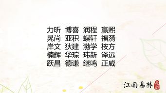 免费起名字大全免费（名字免费起名）