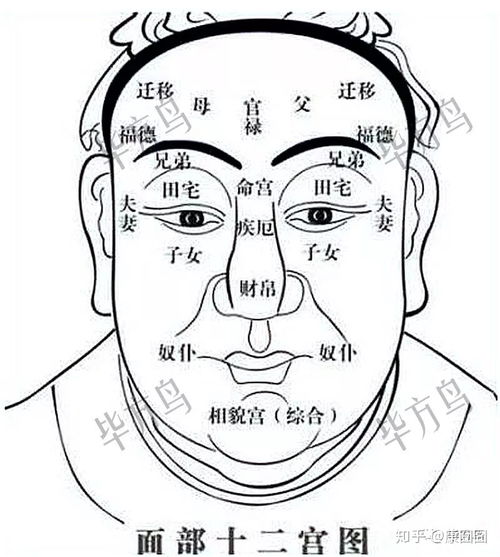 脸上痣的位置图解（脸上痣的位置图解双生）