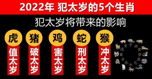 2022年犯太岁的5个生肖（2022年犯太岁最凶的四大生肖）