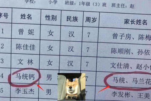 怎么查自己名字的寓意（怎样知道自己名字的含义）