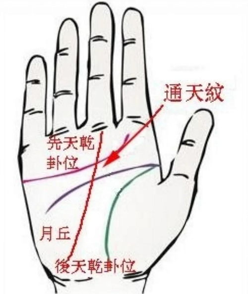 最罕见的手相通天纹（手相通天纹来历）
