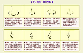 男人鼻子面相图解大全（男人鼻子面相图解大全男人驼峰鼻）