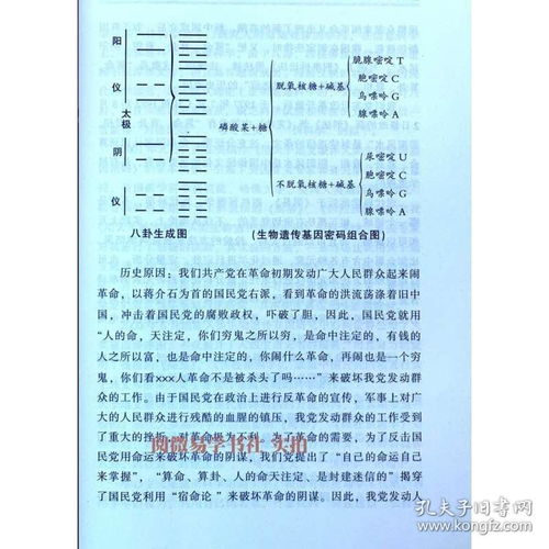 易经四柱八字入门详解（易经四柱八字入门详解壬午年壬子月丁已日庚子时）