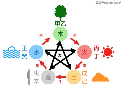 2022年各生肖运势及运程（2022年生肖的运势）