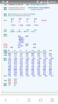 八字命盘查询与解析（在线八字命盘查询与解析）