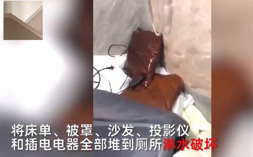 活人睡东西死人睡南北（活人睡东西死人睡南北指南针）