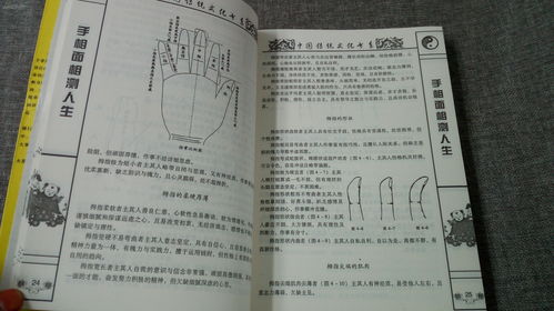 人生测试算命一生（人生预测算命）