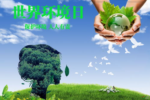 世界环境日（世界环境日宣传标语）