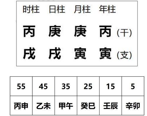 查八字算命（免费查八字算命）