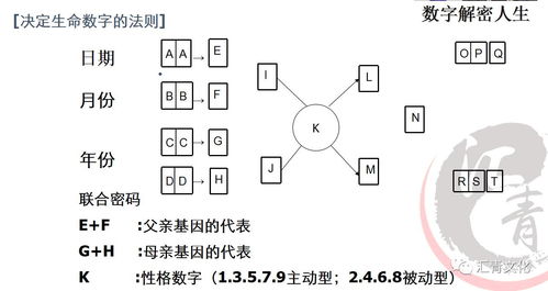 五行测算（命格五行测算）