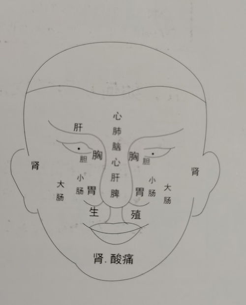 算命事业（算命事业突破什么意思）