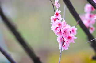 中秋节最有名的古诗（中秋节最有名的古诗四句）