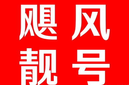 中国移动靓号网上选号（中国移动手机号网上选号）