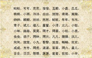 输入生辰八字取名字（知道生辰八字怎么取名字）