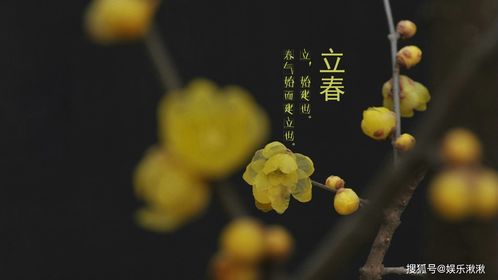 2021年立春时间（2021年立春时间2022几点几分）