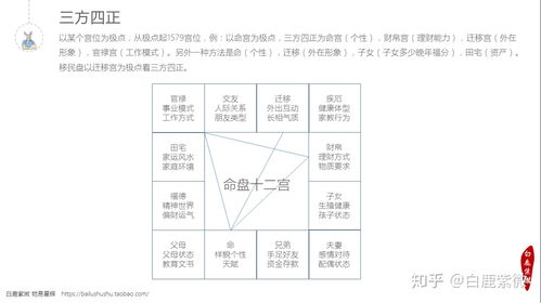 紫微斗数免费算命详解（紫微斗数免费算命详解流年）