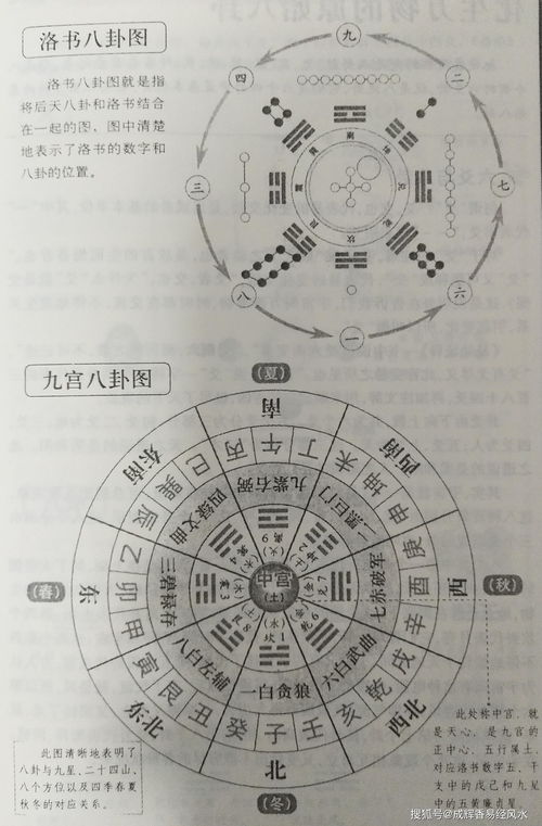 文王八卦是谁发明的（文王八卦在哪里做的）