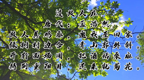 植树节的来历简介30字（关于植树节的来历30字）