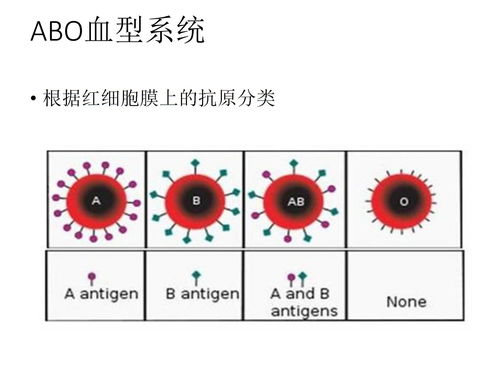 怎么查自己的星座和血型（怎么查看自己的血型呢）