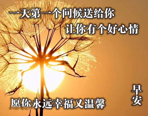 5月28日是什么日子好不好（5月28号是什么日子好不好）