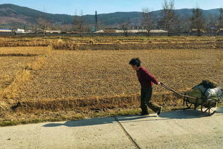 已婚女人梦见土坟（已婚女人梦见土坟墓长大好吗）