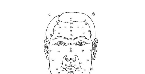 男士面相图解法（怎么看面相图解男）