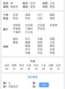 五行属火最吉利的公司名字（五行属火的人公司起名）