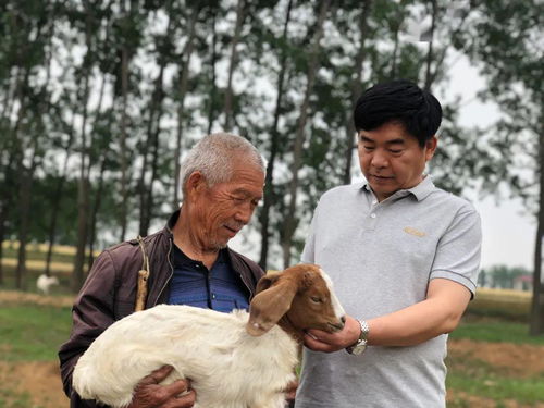 属狗是哪一年出生的今年几岁（属狗的今年多大岁数哪一年生）