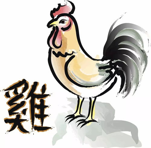 属鸡的今年每月运程（属鸡的今年每月运程怎么样）