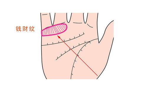 属兔的贵人是什么生肖（属兔的贵人是哪些生肖）