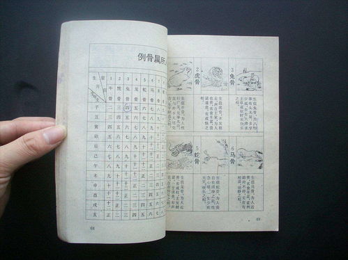 算八字合婚免费（免费八字合婚算命生辰八字婚姻）