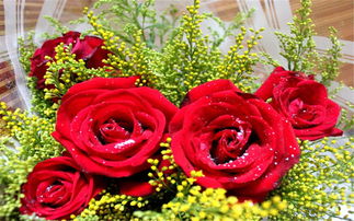 送玫瑰花一般送多少朵（送玫瑰花一般送多少朵送给好姐妹）
