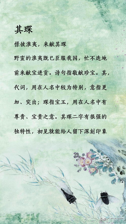 诗经全文取名（诗经取名字）