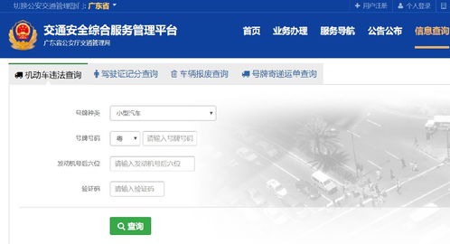 车辆信息免费查询系统（免费车辆查询信息查询系统）