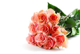 10朵粉玫瑰代表什么意思（1到10朵粉玫瑰各代表什么意思?）