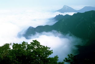 风水宝地代表什么生肖（风水宝地指什么生肖）