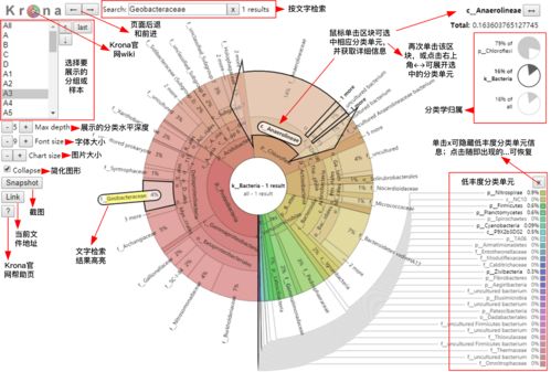 陶白白最全星座分析（陶白白最全星座分析射手座）