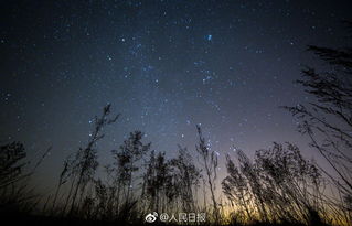 狮子座流星雨（狮子座流星雨最佳观测时间）