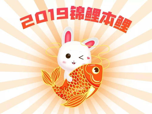 属兔人2019年运势运程(属兔人2019年运势运程每月运程)